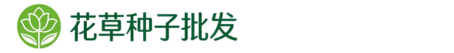 花草种子批发厂家官网